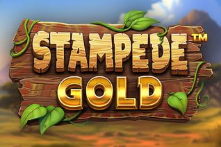 Stampede Gold
